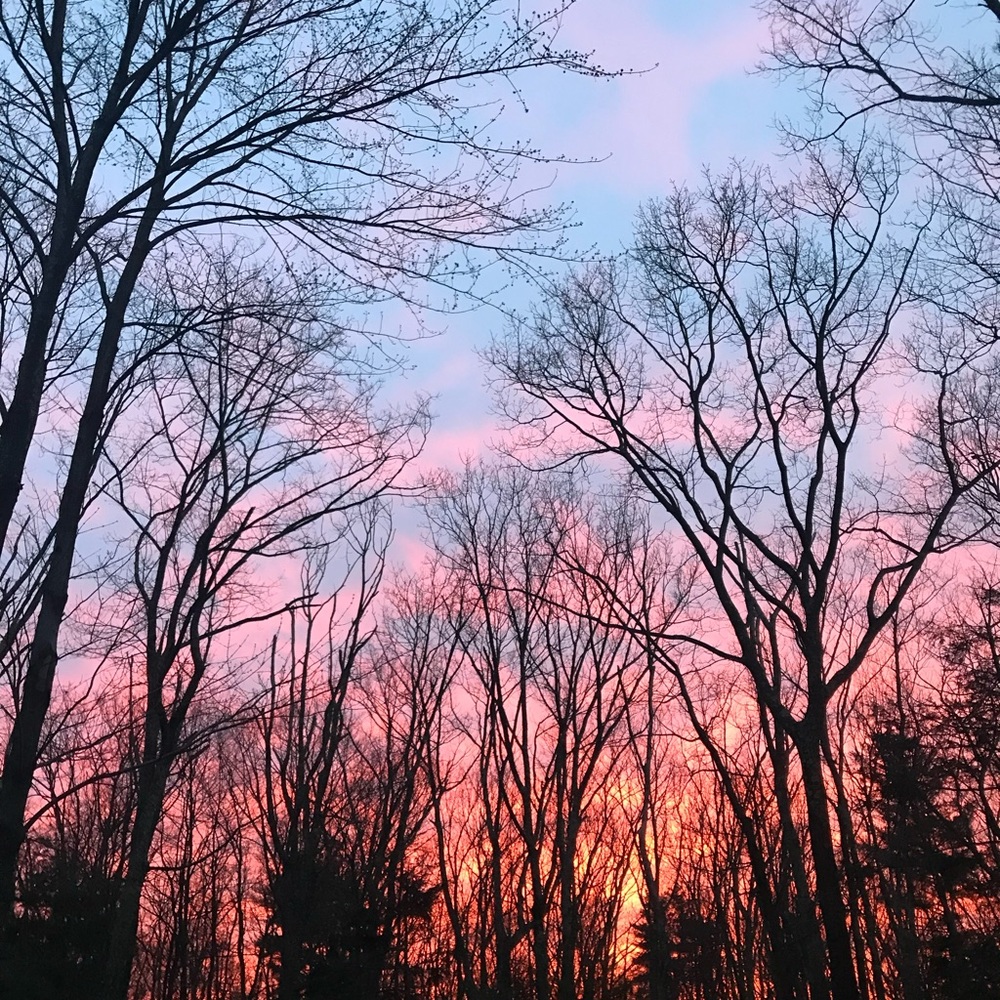 Meet your Posher, Cat